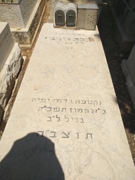 תמונת מצבה