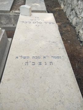 תמונת מצבה
