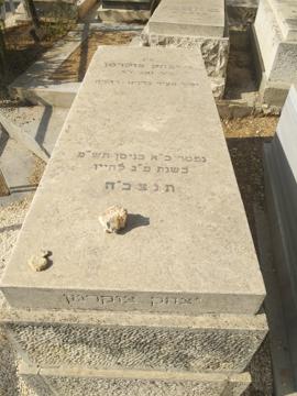 תמונת מצבה