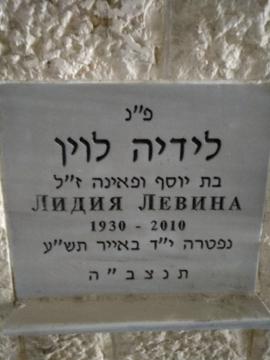 תמונת מצבה
