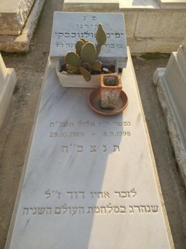 תמונת מצבה