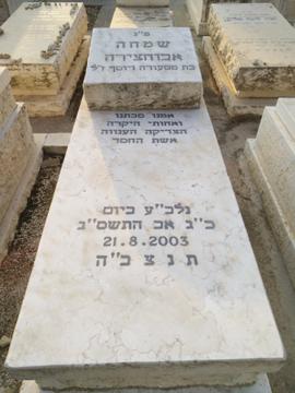 תמונת מצבה