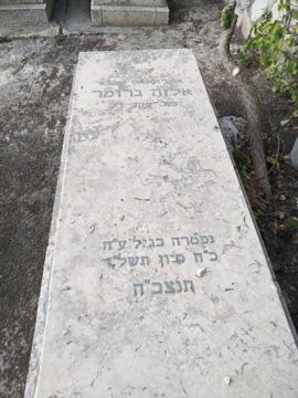 תמונת מצבה