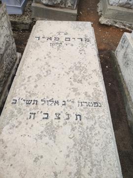 תמונת מצבה
