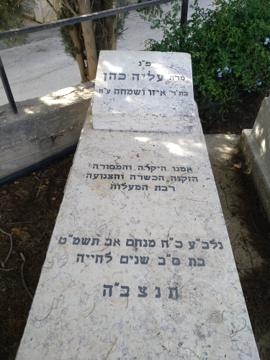 תמונת מצבה