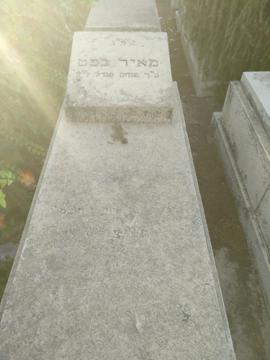 תמונת מצבה
