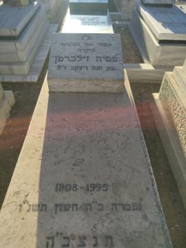 תמונת מצבה