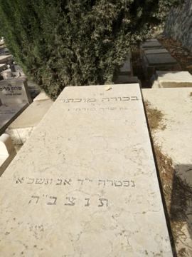 תמונת מצבה