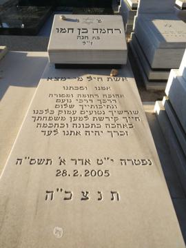 תמונת מצבה