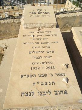 תמונת מצבה