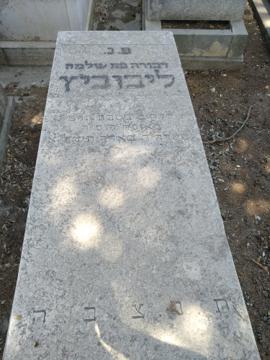 תמונת מצבה