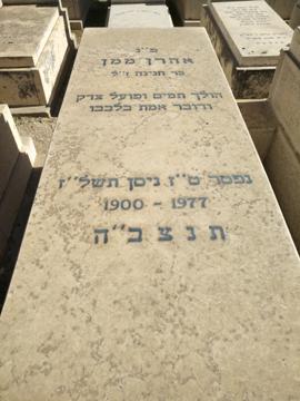 תמונת מצבה