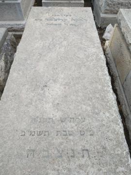תמונת מצבה