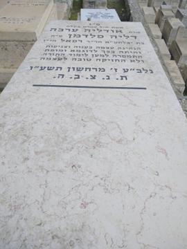 תמונת מצבה
