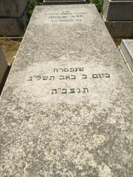 תמונת מצבה