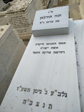תמונת מצבה