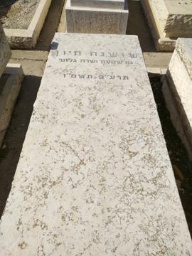 תמונת מצבה