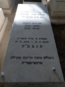 תמונת מצבה