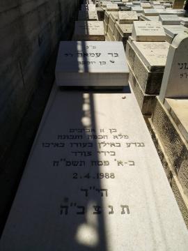 תמונת מצבה