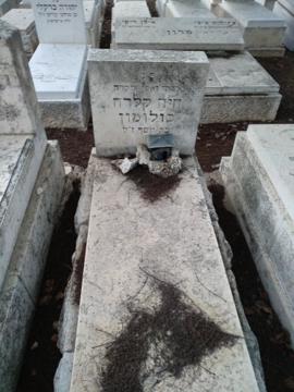 תמונת מצבה