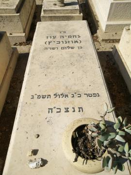 תמונת מצבה