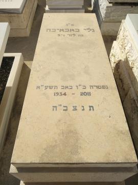 תמונת מצבה