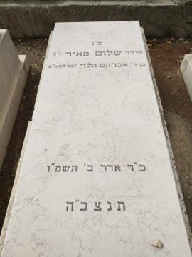תמונת מצבה