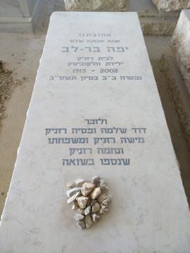 תמונת מצבה