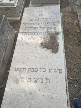 תמונת מצבה