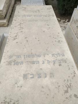 תמונת מצבה