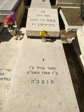 תמונת מצבה