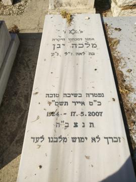 תמונת מצבה