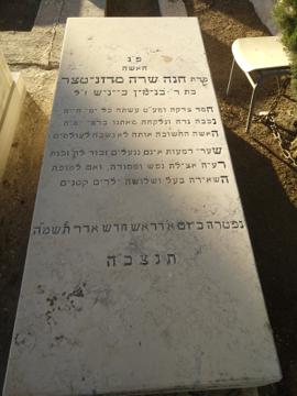 תמונת מצבה