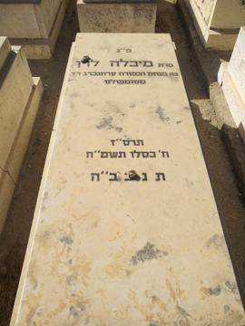 תמונת מצבה