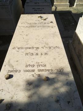 תמונת מצבה