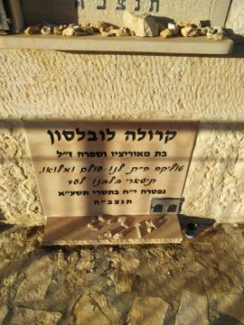 תמונת מצבה