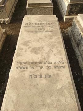תמונת מצבה