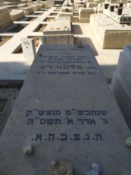 תמונת מצבה