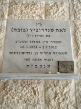 תמונת מצבה