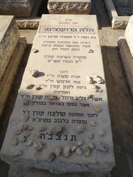 תמונת מצבה