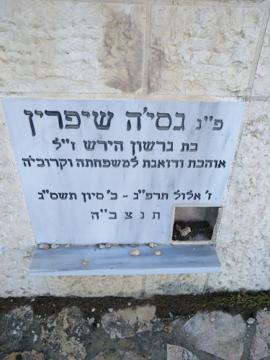 תמונת מצבה