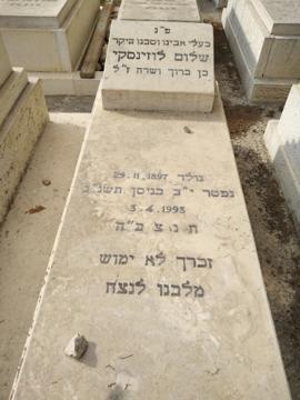 תמונת מצבה