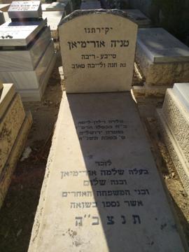 תמונת מצבה
