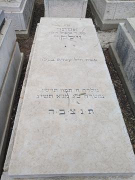 תמונת מצבה