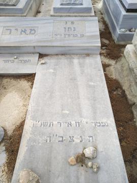 תמונת מצבה