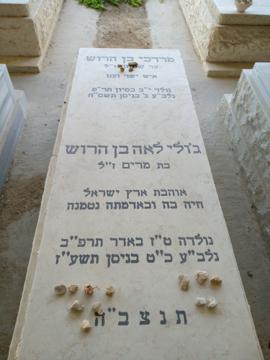 תמונת מצבה