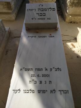 תמונת מצבה