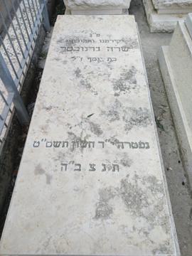 תמונת מצבה