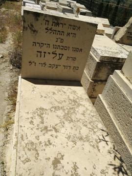 תמונת מצבה