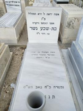 תמונת מצבה